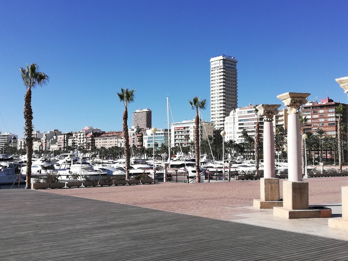 Casino Mediterráneo | Alicante photo 5