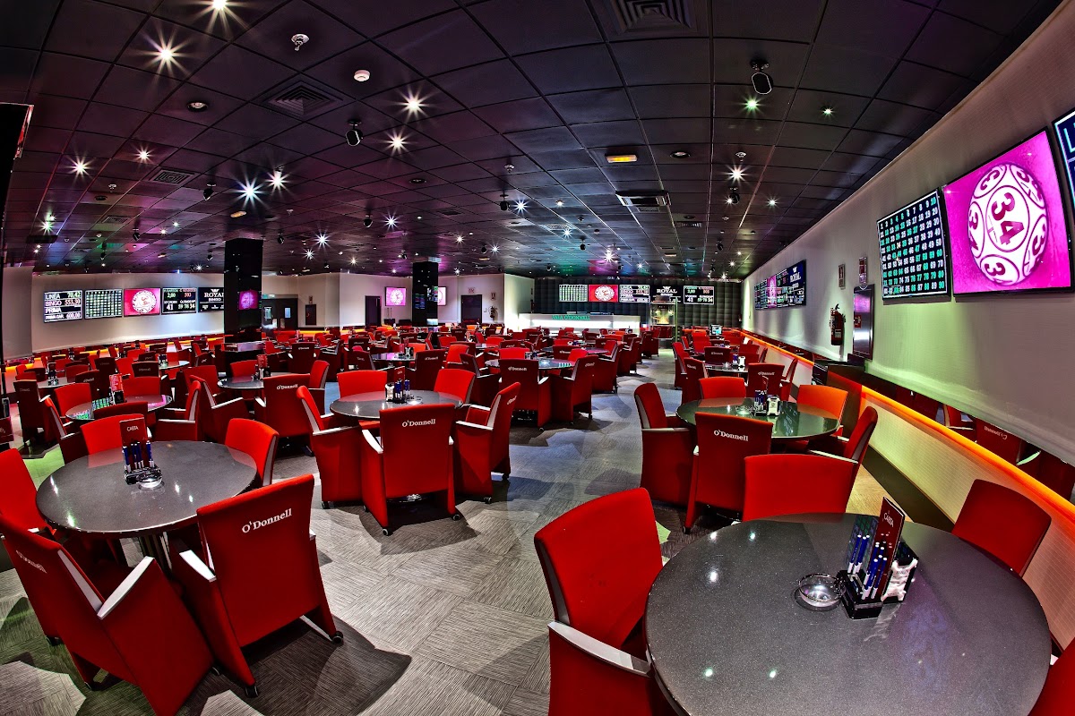 BINGO O'donnell photo 2