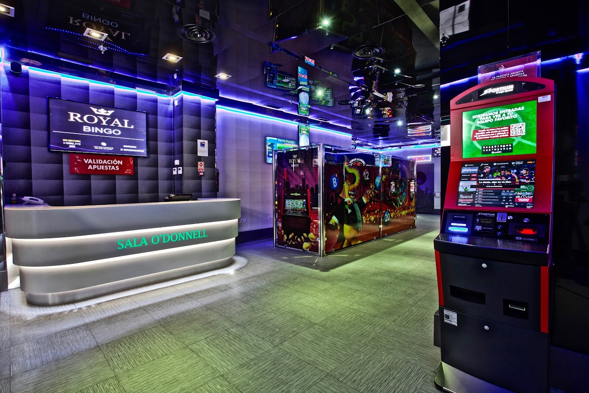 BINGO O'donnell photo 3