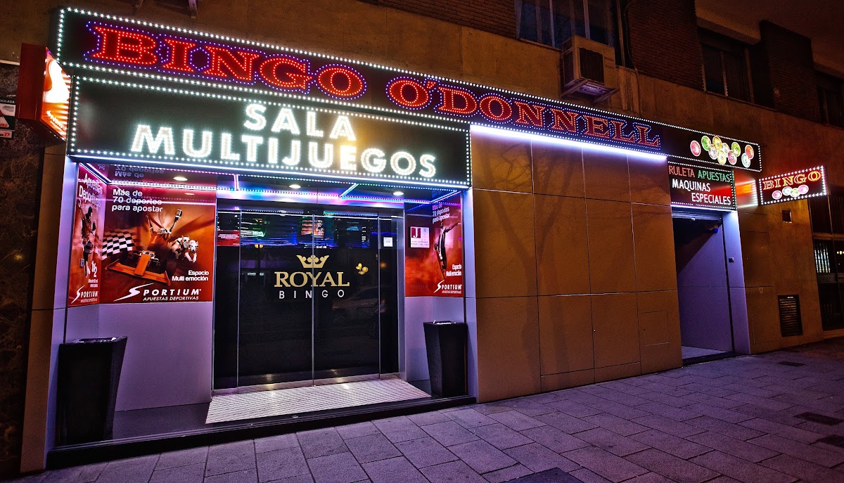 BINGO O'donnell photo 4