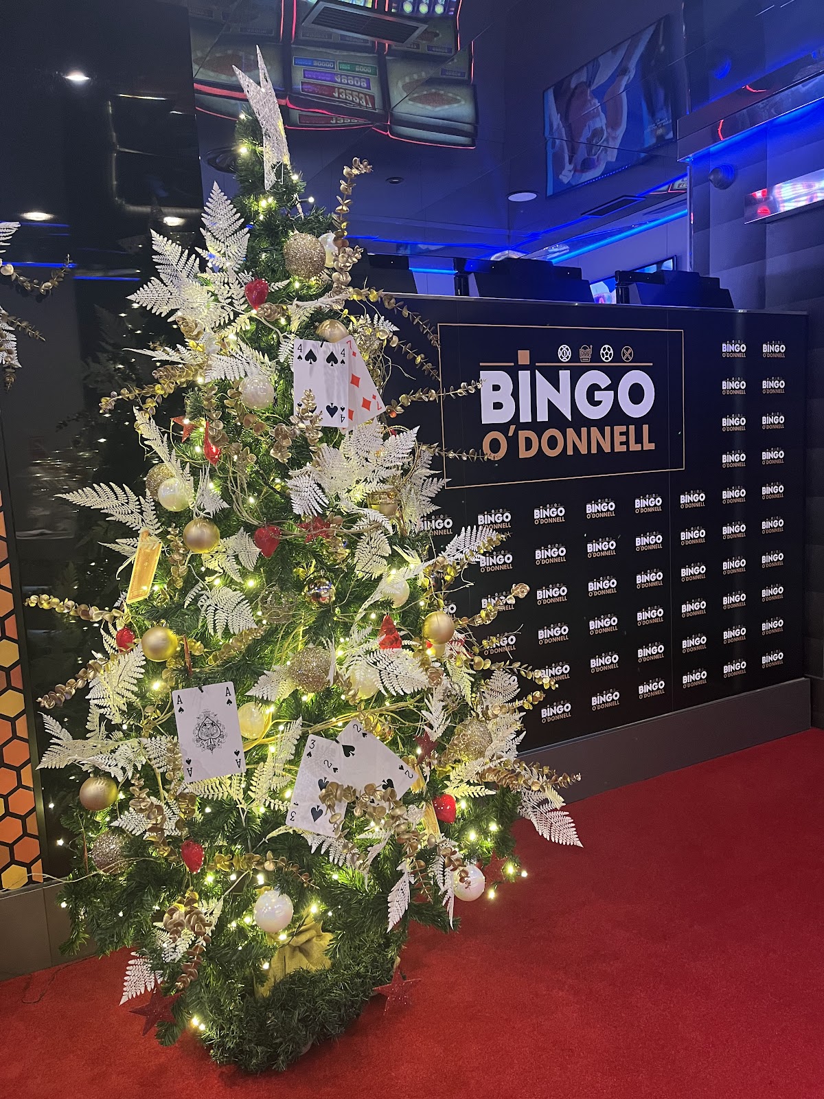 BINGO O'donnell photo 6