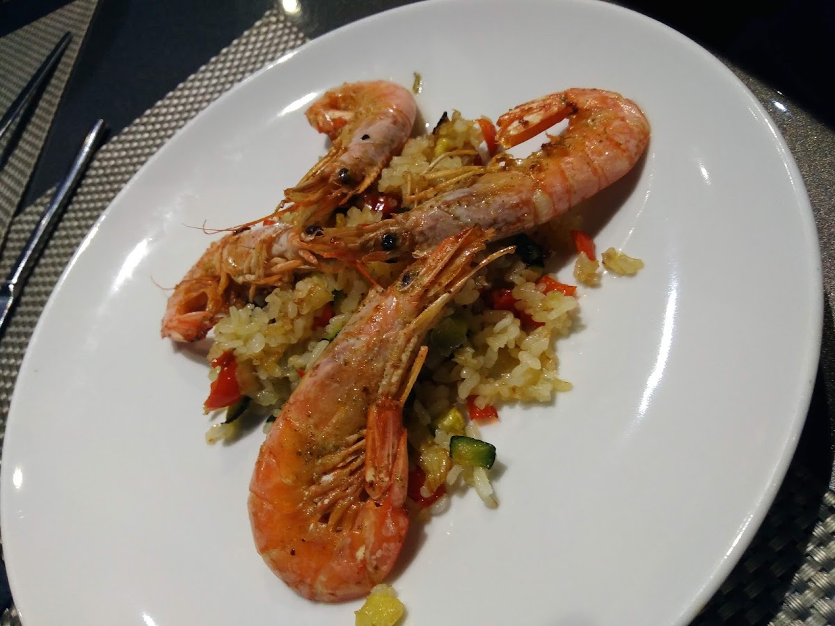 BINGO O'donnell photo 7