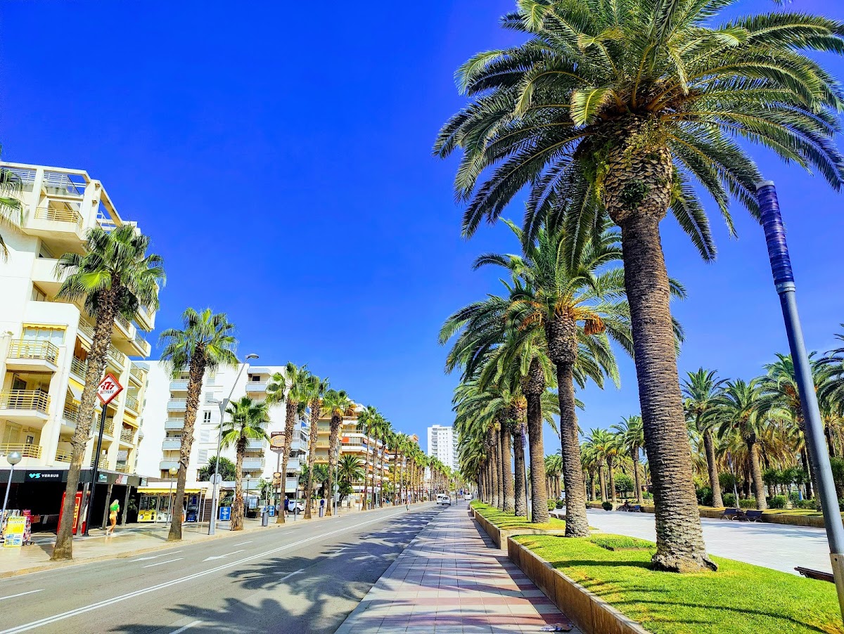 Bet Park Salou photo 6