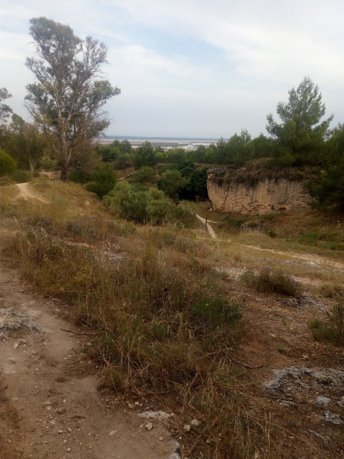 Casino Bahía De Cádiz photo 9