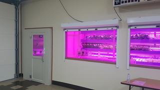 Aseneskak Casino photo 2