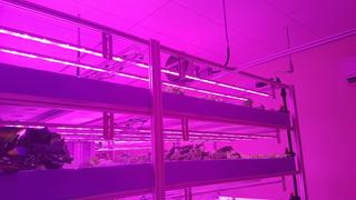 Aseneskak Casino photo 3