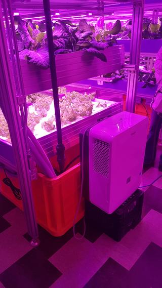 Aseneskak Casino photo 10