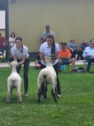 Hanover Raceway Slots photo 4