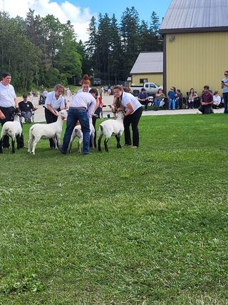 Hanover Raceway Slots photo 10