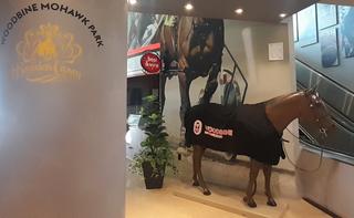 Woodbine Mohawk Park photo 9