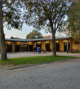 HippoDome Bologna photo 1