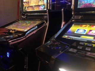 HippoDome Bologna photo 4