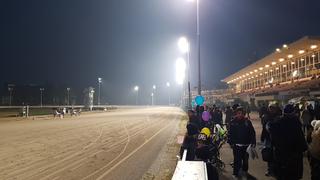 HippoDome Bologna photo 6