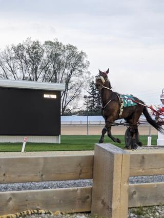 Hiawatha Horse Park Slots photo 9