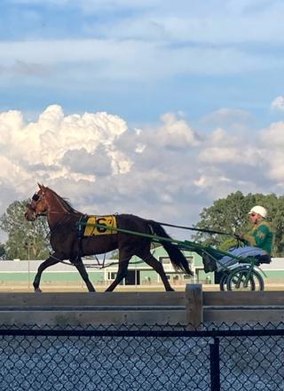Hiawatha Horse Park Slots photo 10
