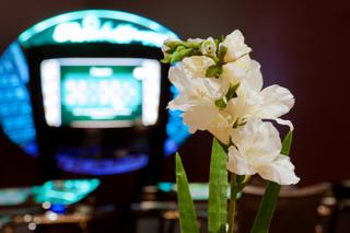 Storm Casino Hanauer Landstraße photo 5