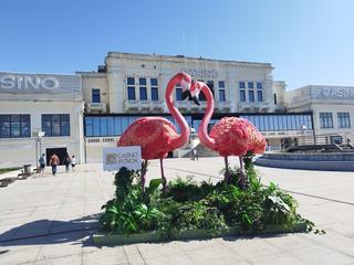 Casino da Póvoa photo 5