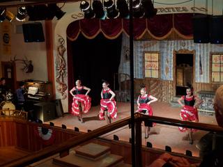 Diamond Tooth Gerties Gambling Hall photo 5