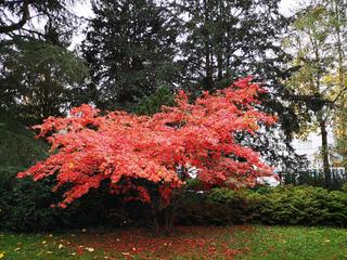 Grand Casino Baden photo 4