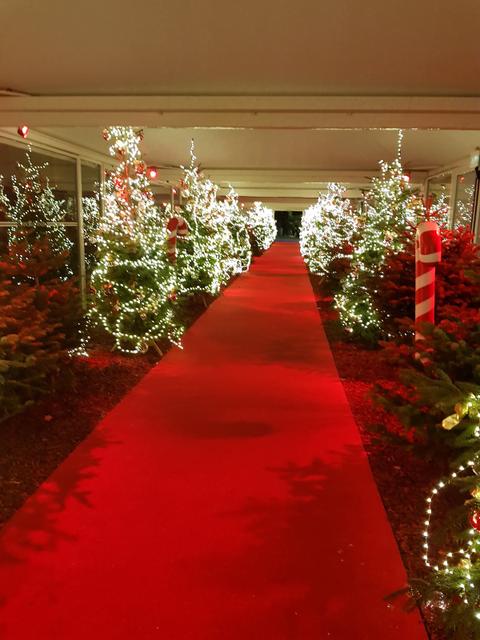 Venice Casino - Casino in Venice, Italy