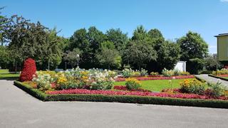 Casino Bad Fussing photo 5