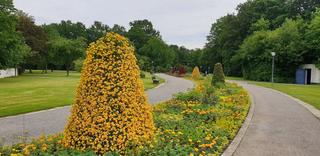 Casino Bad Fussing photo 9