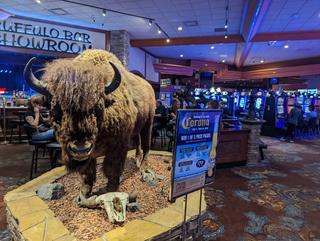 PURE Casino Lethbridge photo 5