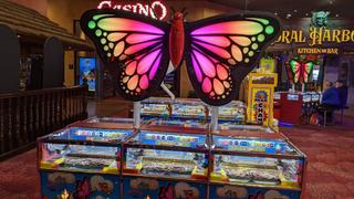 Coral Island Casino photo 6