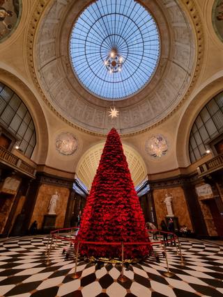 Spielbank Wiesbaden photo 7