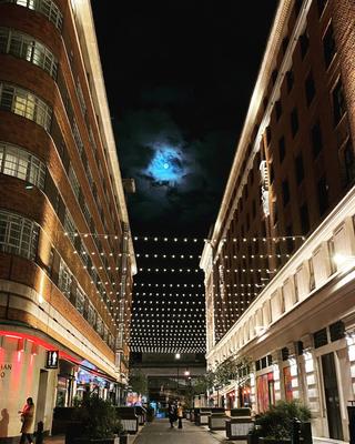 The Sportsman Casino photo 4