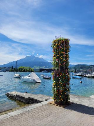 Grand Casino Lucerne photo 9