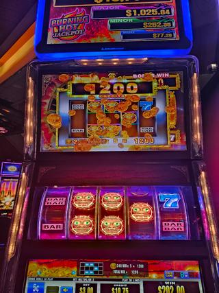 Pure Casino Yellowhead photo 4