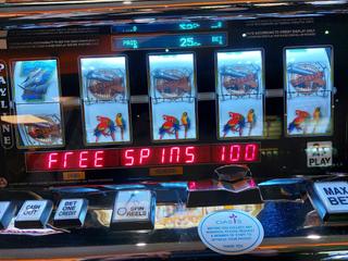 Oasis Casino Experience photo 5