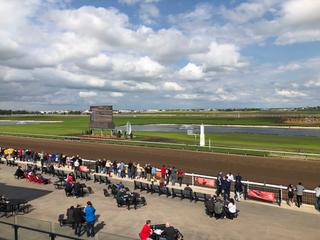 Century Mile Racetrack and Casino photo 5