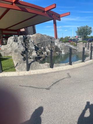 Living Sky Casino photo 10