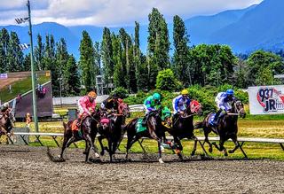 Hastings Casino photo 7