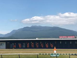 Hastings Casino photo 10