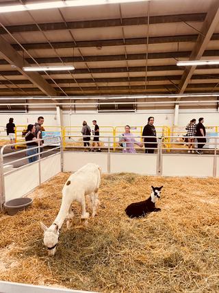 Western Fair District Slots photo 10