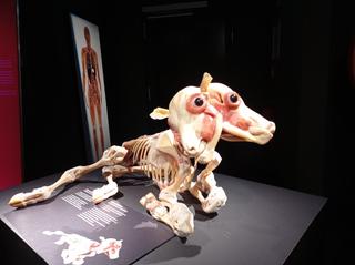 Merkur Spielothek Alexanderplatz photo 7