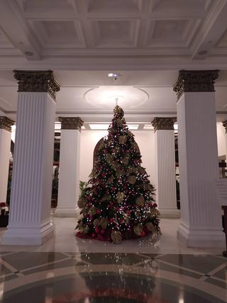 Casino de Santa Cruz photo 10